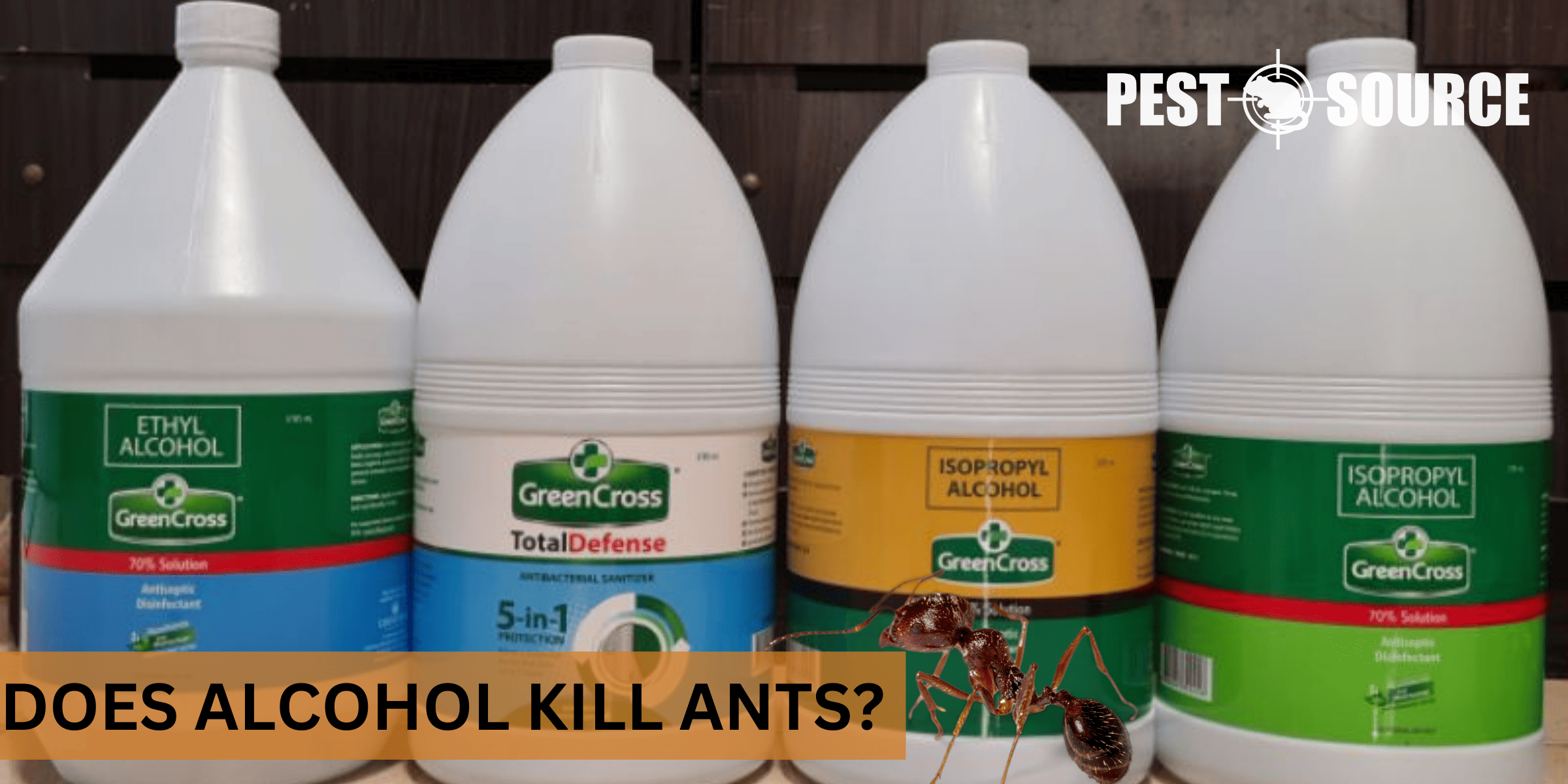 kill ants with baking alcohol