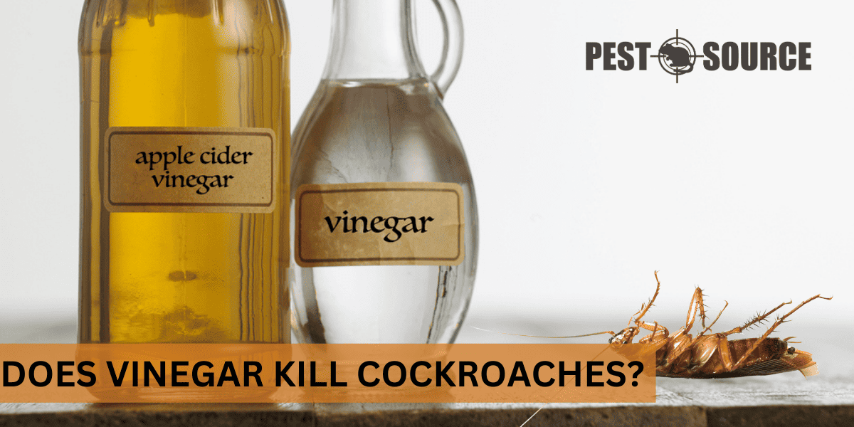 Vinegar as Cockroach Deterrent