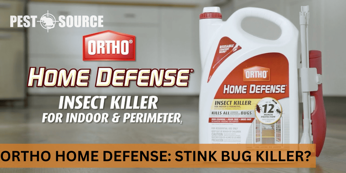 Ortho Home Defense and stink bugs