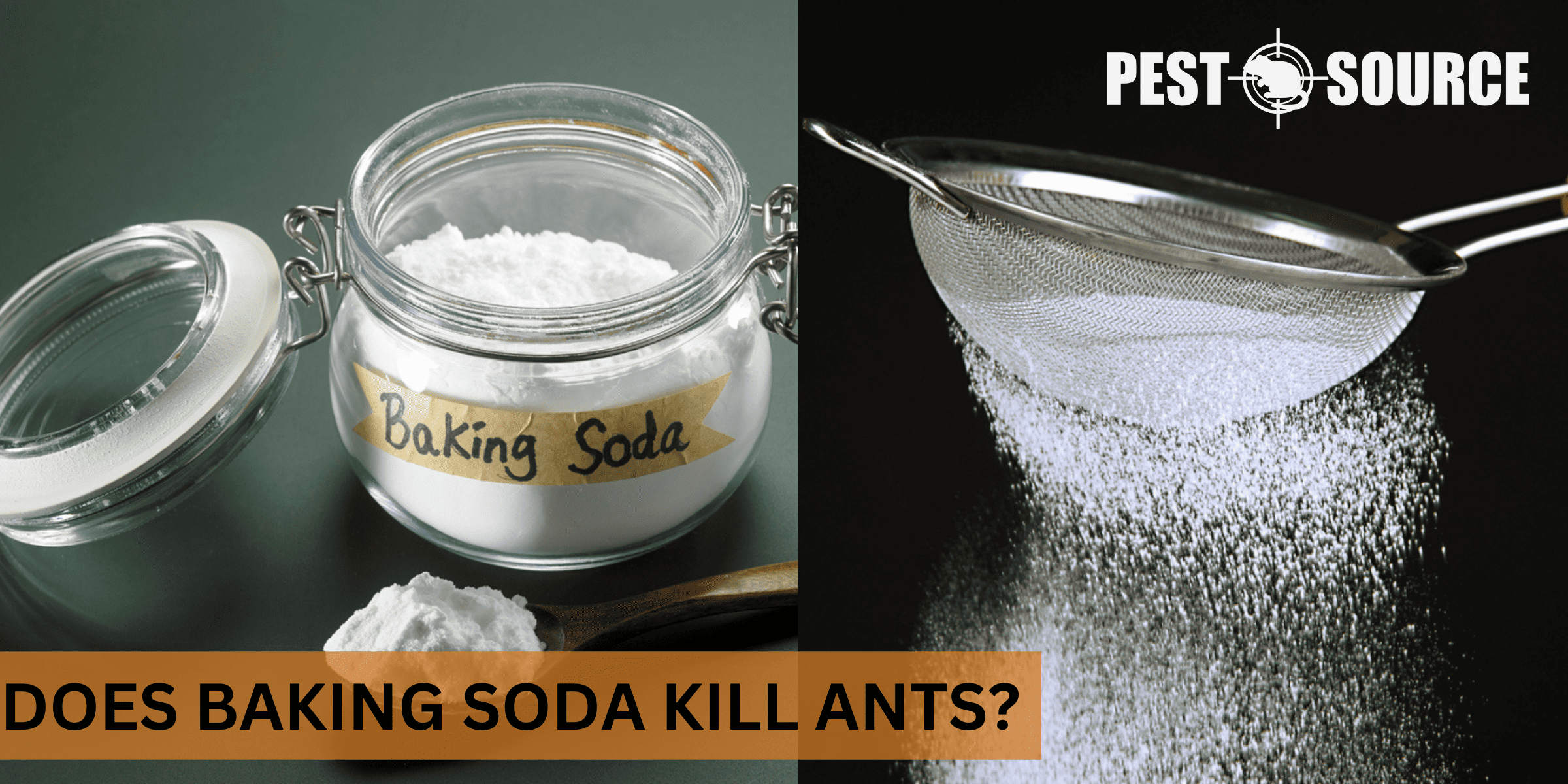 kill ants with baking soda