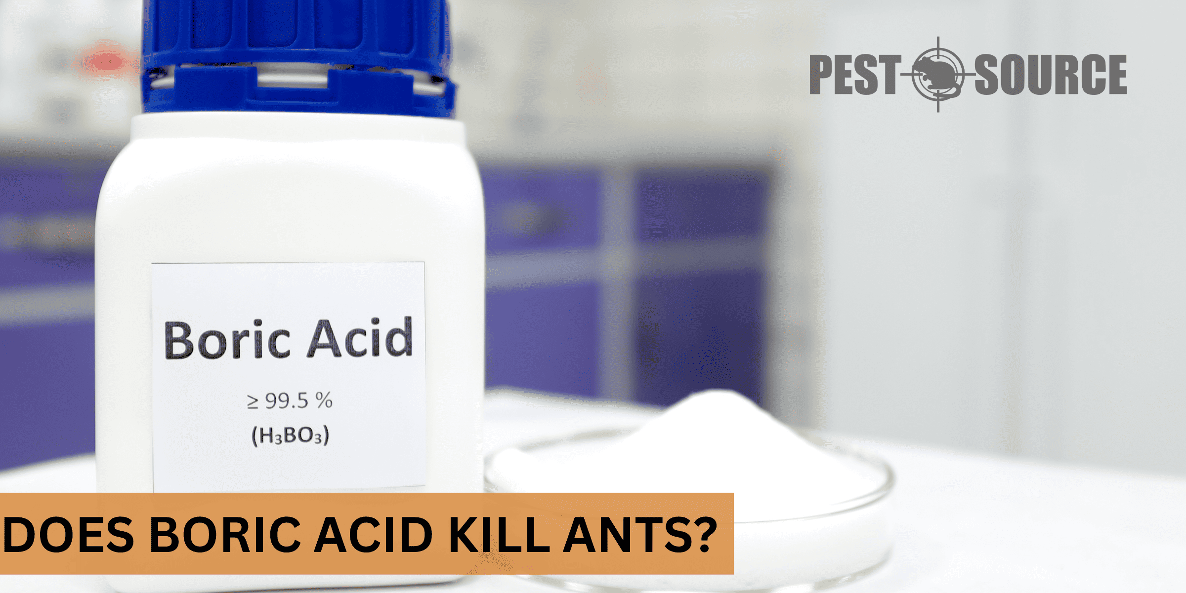kill ants with boric acid