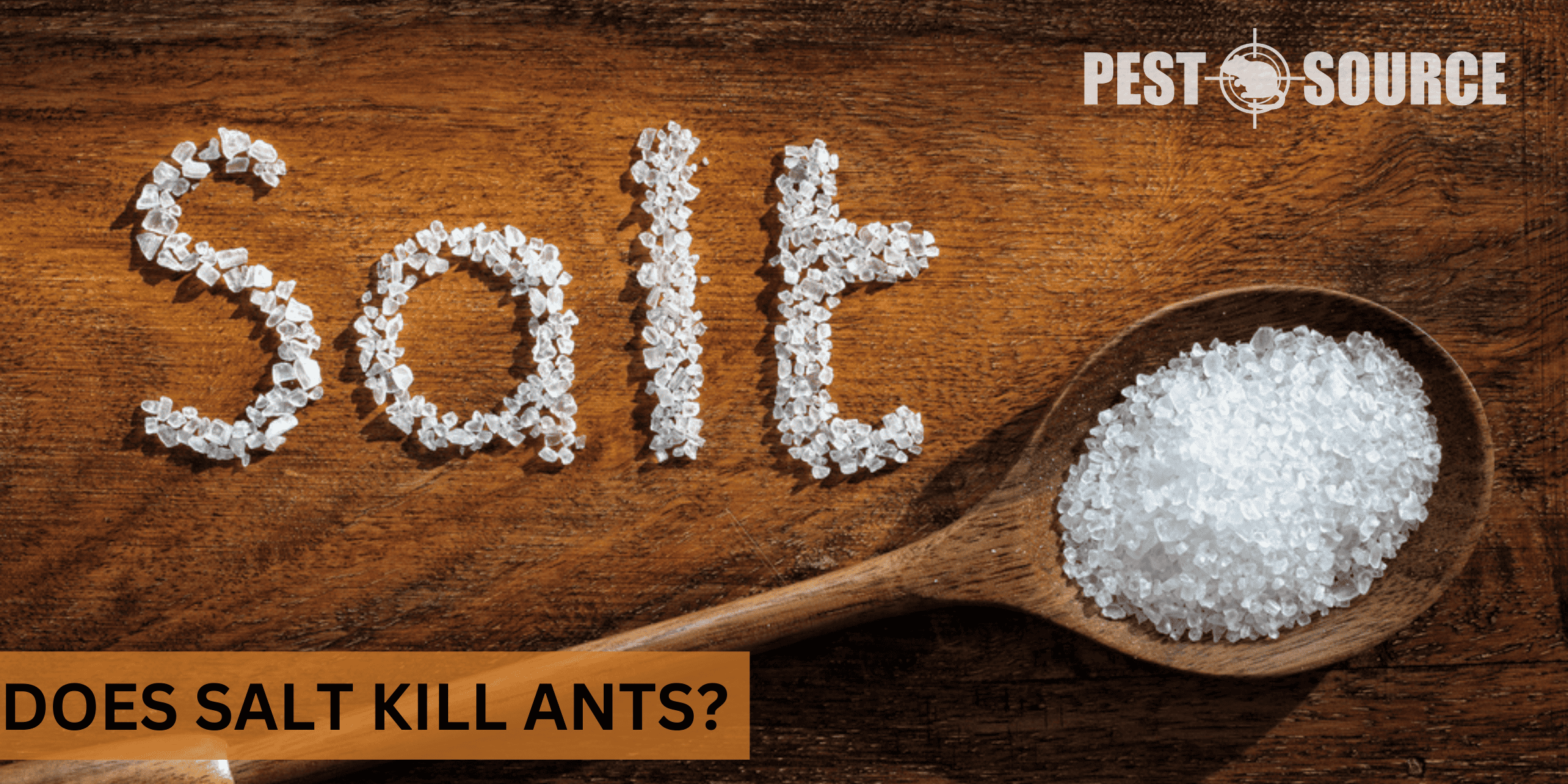kill ants with salt