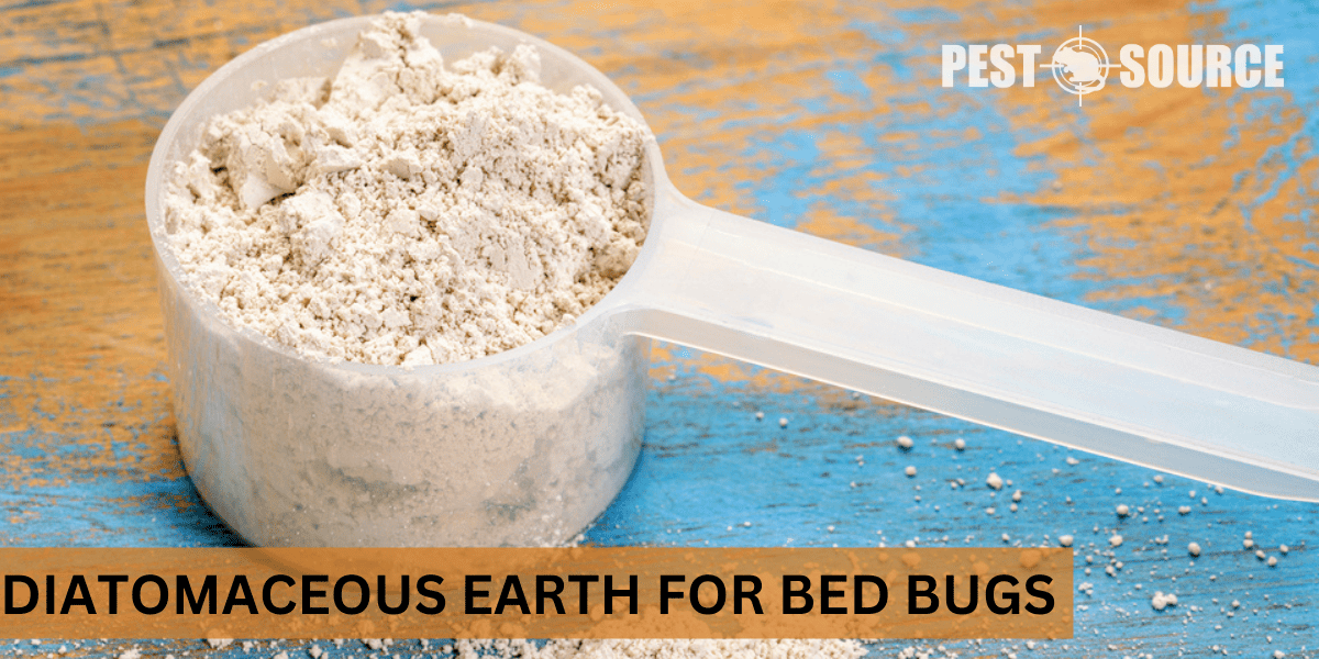 Diatomaceous earth to control Bed Bugs