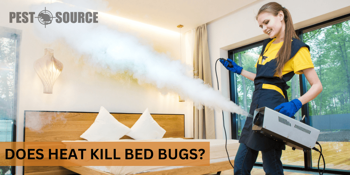 Heat to control Bed Bugs