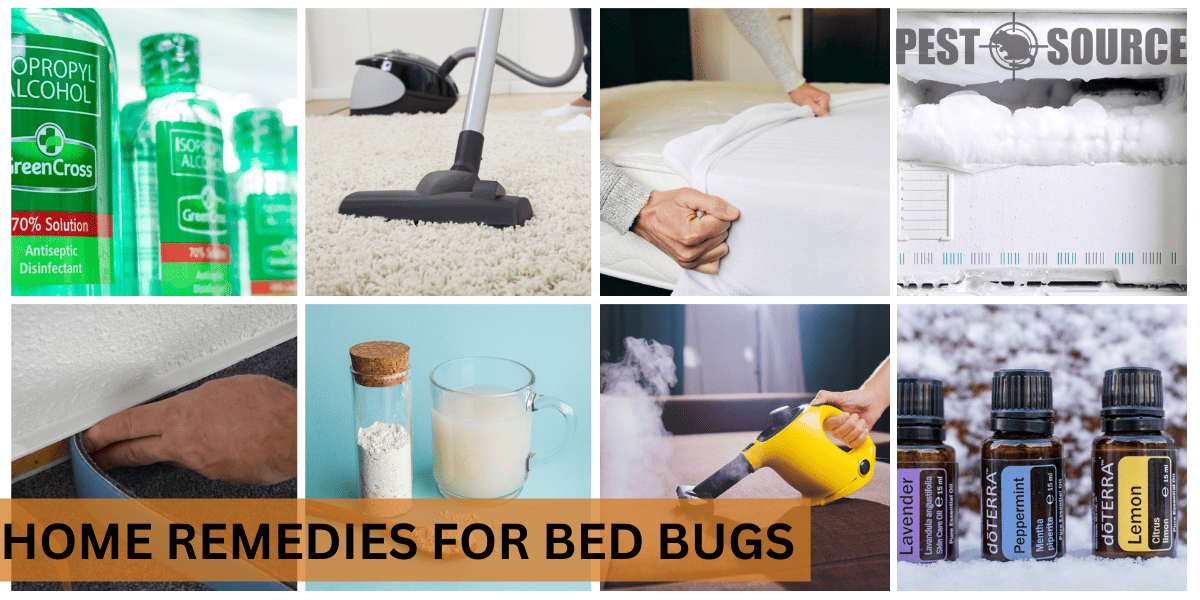 Home Remedies Against Bed Bugs