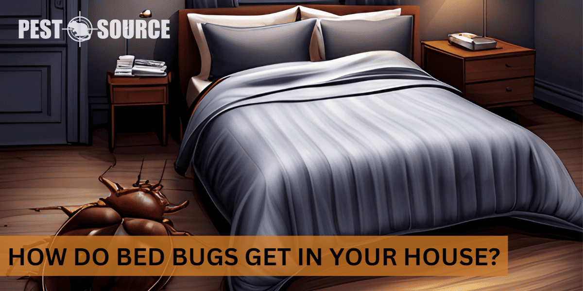 Infiltration Techniques for Bed Bugs