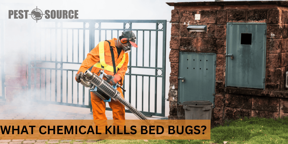 Pesticide to control Bed Bugs