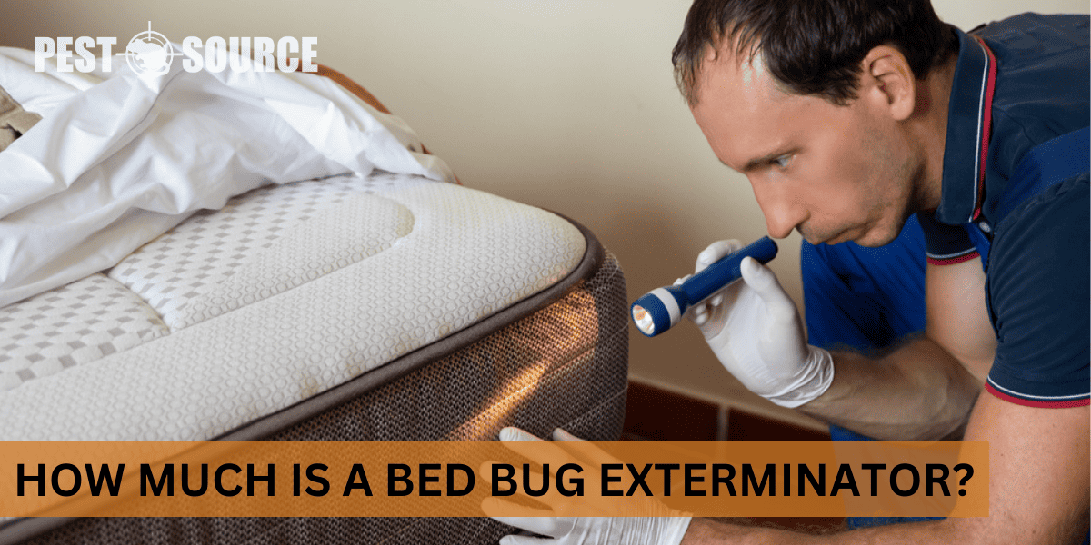 Professional Control of Bed Bugs