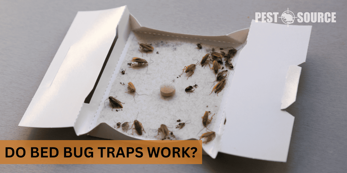 Traps Used for Bed Bugs