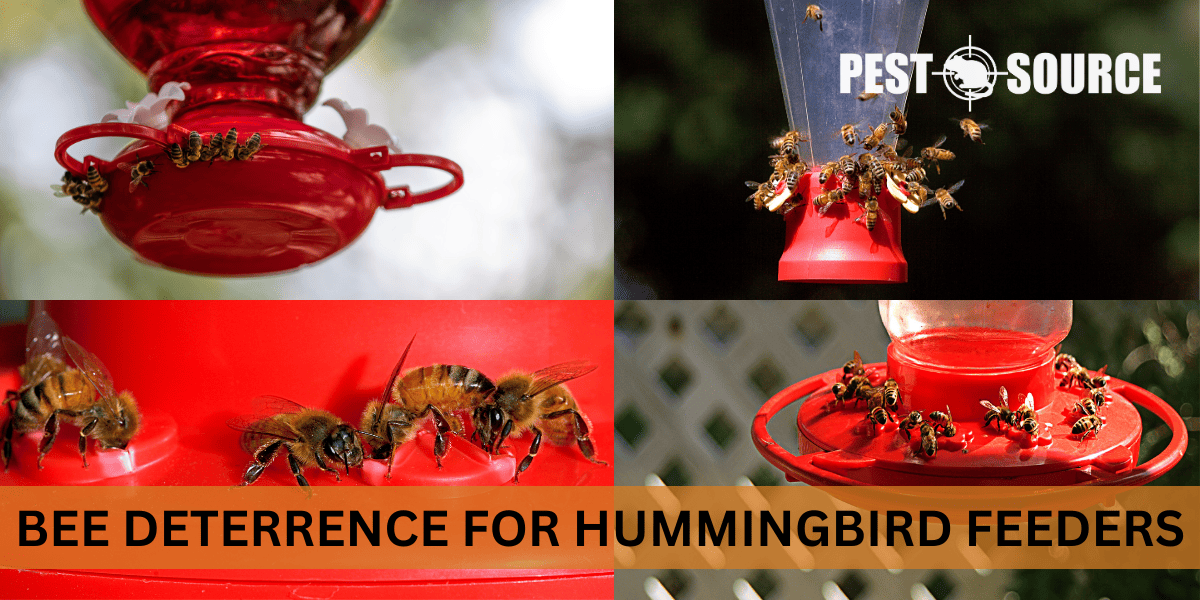 Bee Deterrence for Hummingbird Feeders