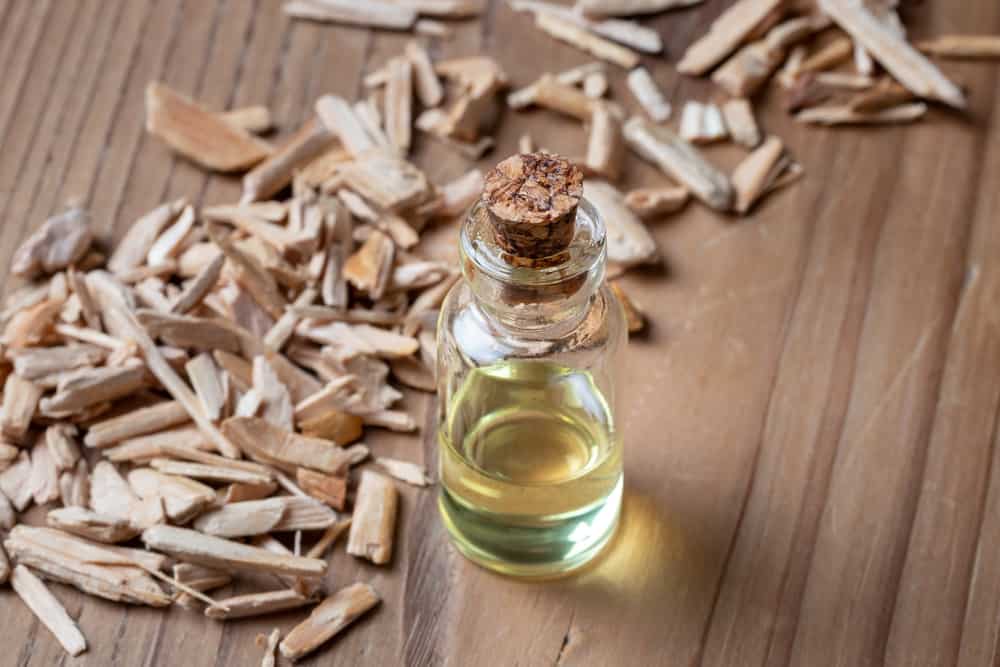 A bottle of essential oil with cedar wood chips and copy space