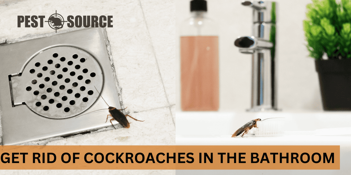 Bathroom control of cockroaches