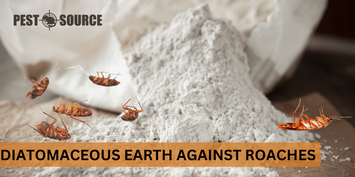 Diatomaceous Earth Against Cockroaches