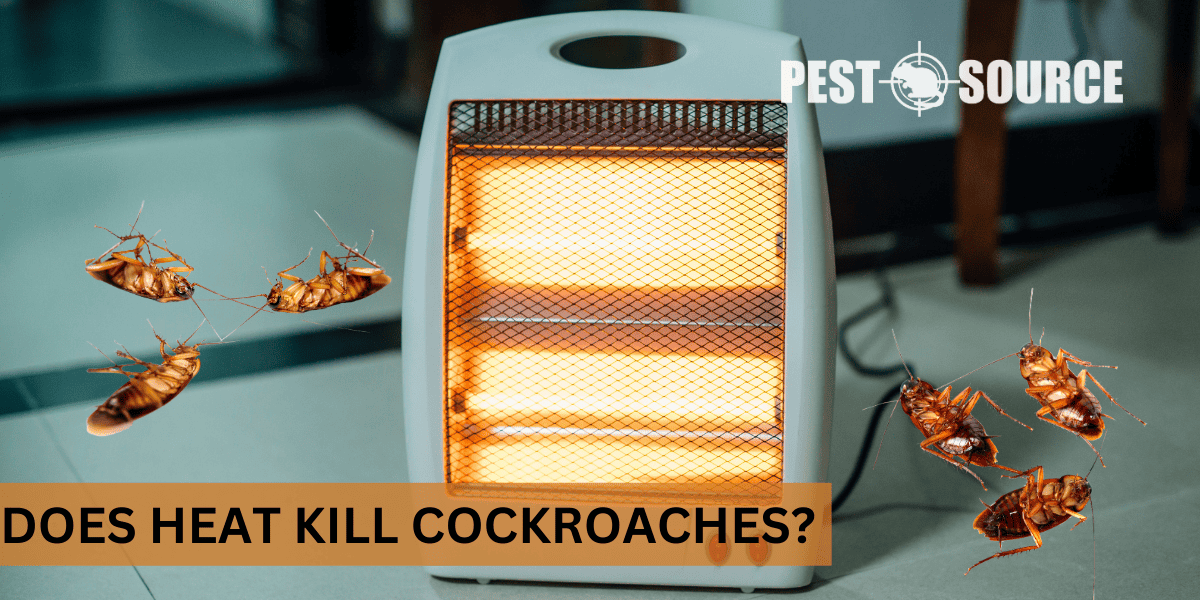 Heat Treatment Kills Cockroaches