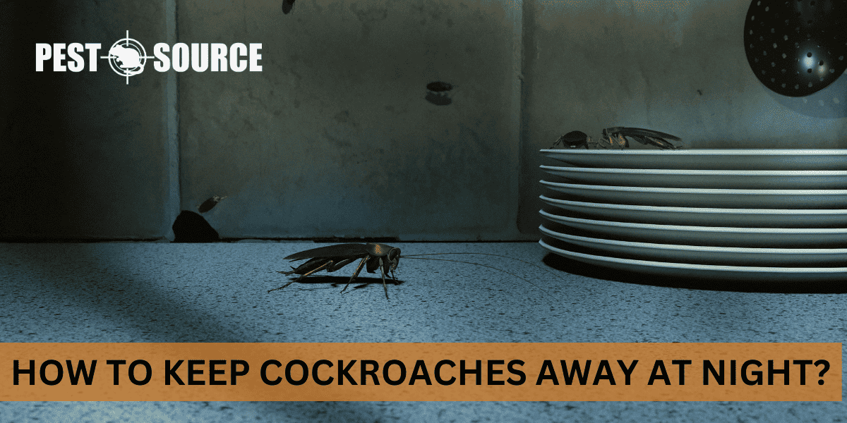 Nighttime Repellent for Cockroach Control