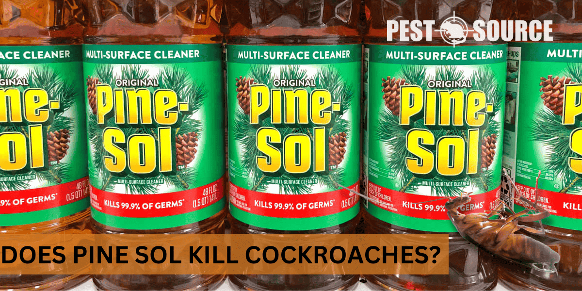 Pine-Sol Cleaner for Cockroaches