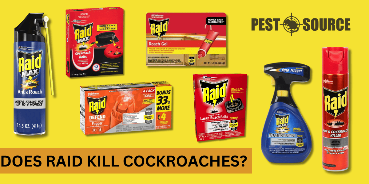 Raid Insecticide for Cockroaches