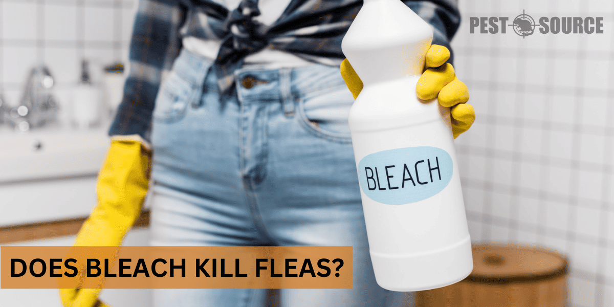 Using Bleach on Fleas