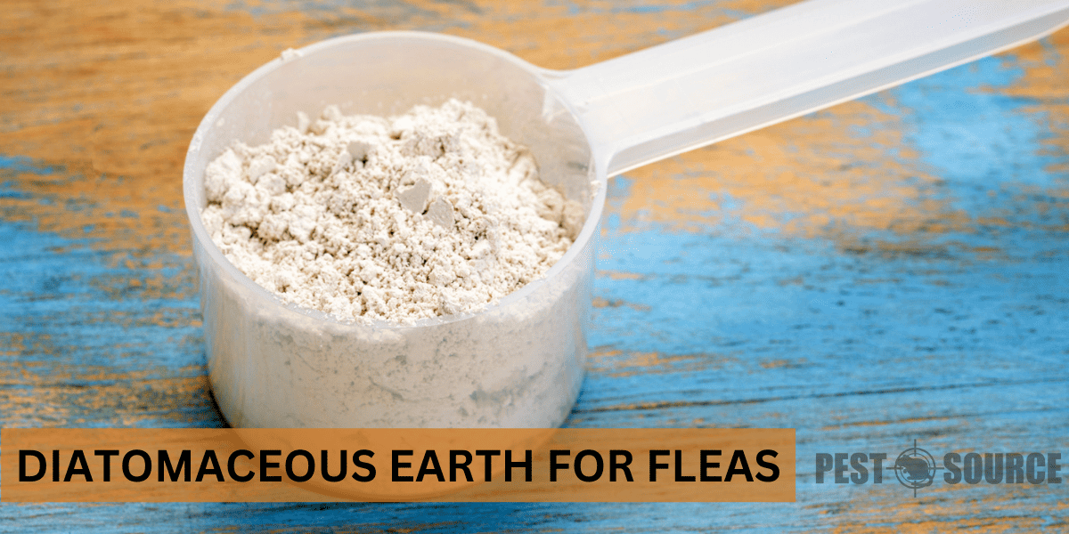 Diatomaceous Earth for Fleas