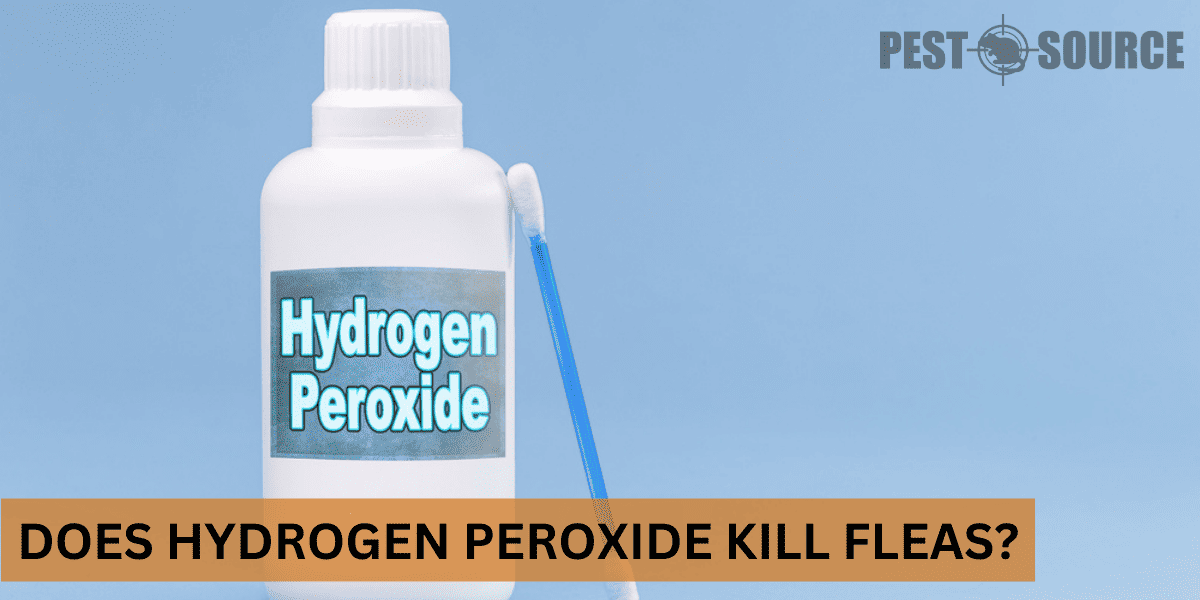 Using Hydrogen Peroxide on Fleas