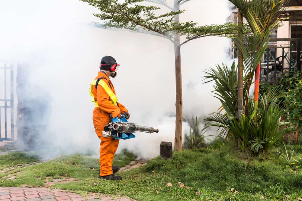 Worker fogging residential area to kill pests
