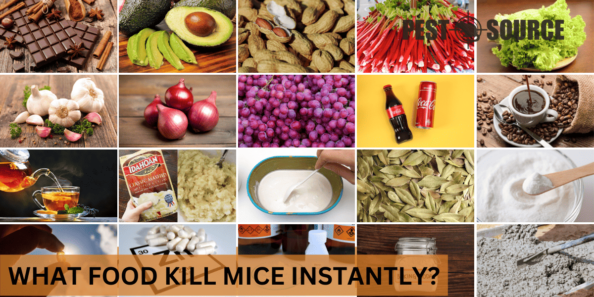 kill mice with specific foods