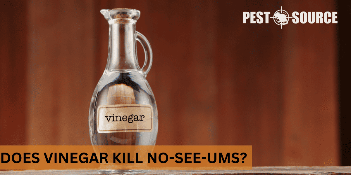 vinegar efficiency in no-see-um control
