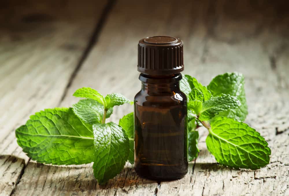 Essential oil of peppermint in a small brown bottle with fresh green mint on an old wooden background, selective focus