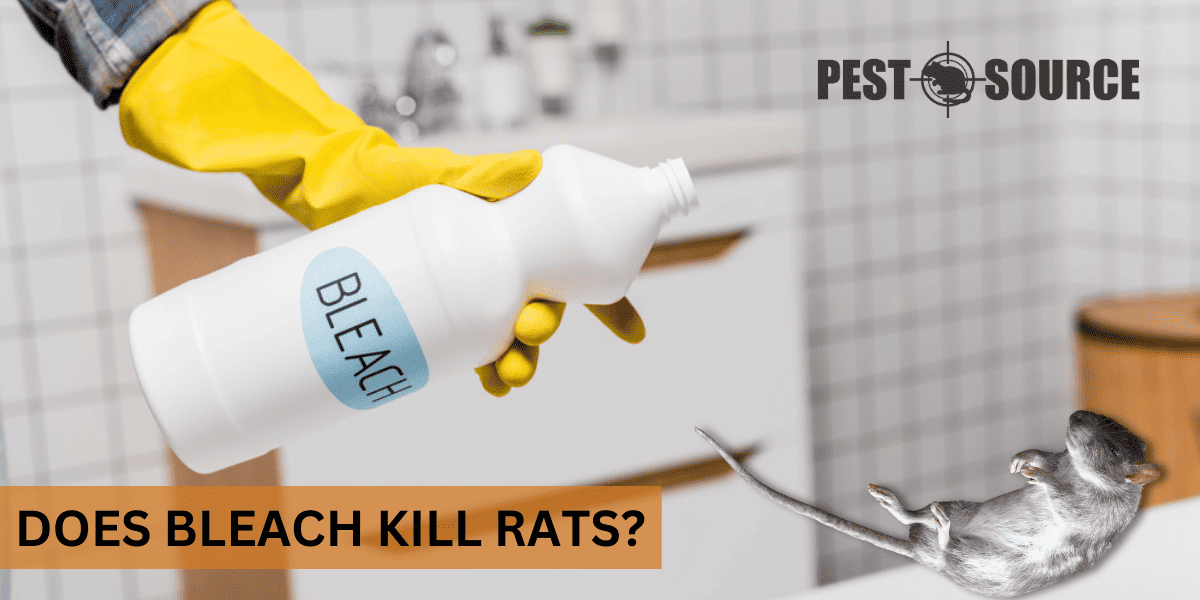 Control of Rats with Bleach