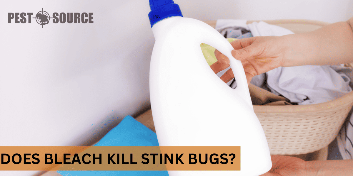 bleach effectiveness on stink bugs