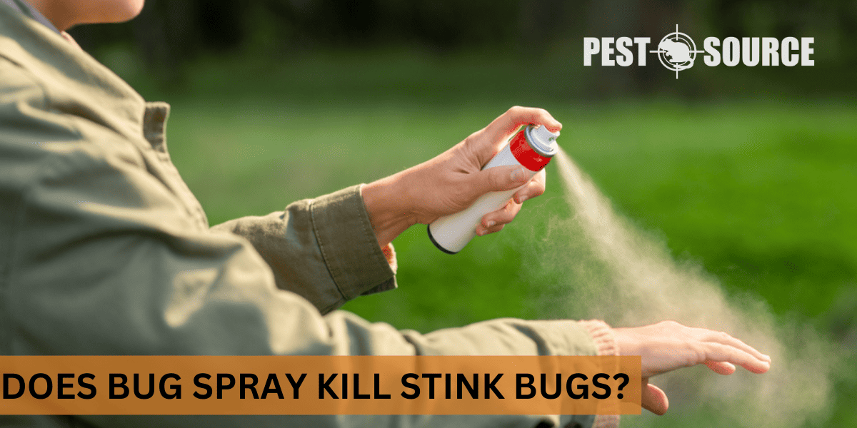 bug spray and stink bugs