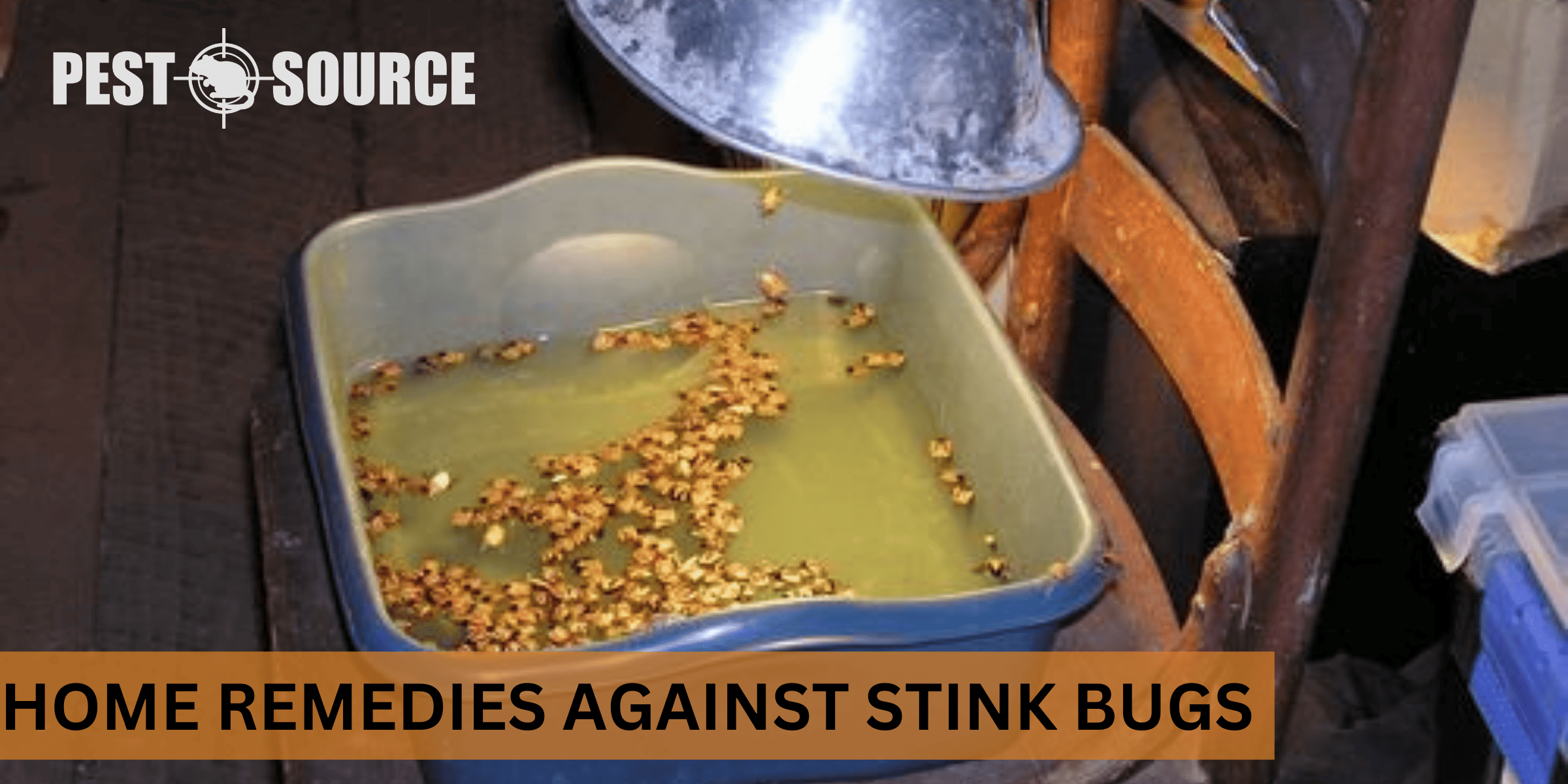 home remedies for stink bugs