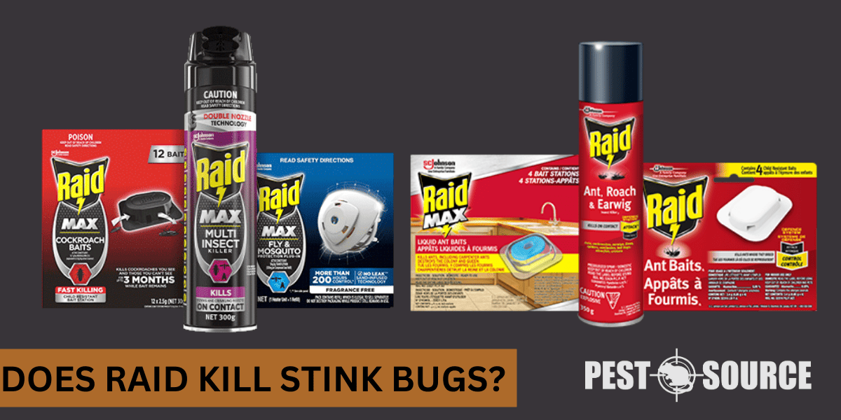 Raid's efficacy on stink bugs