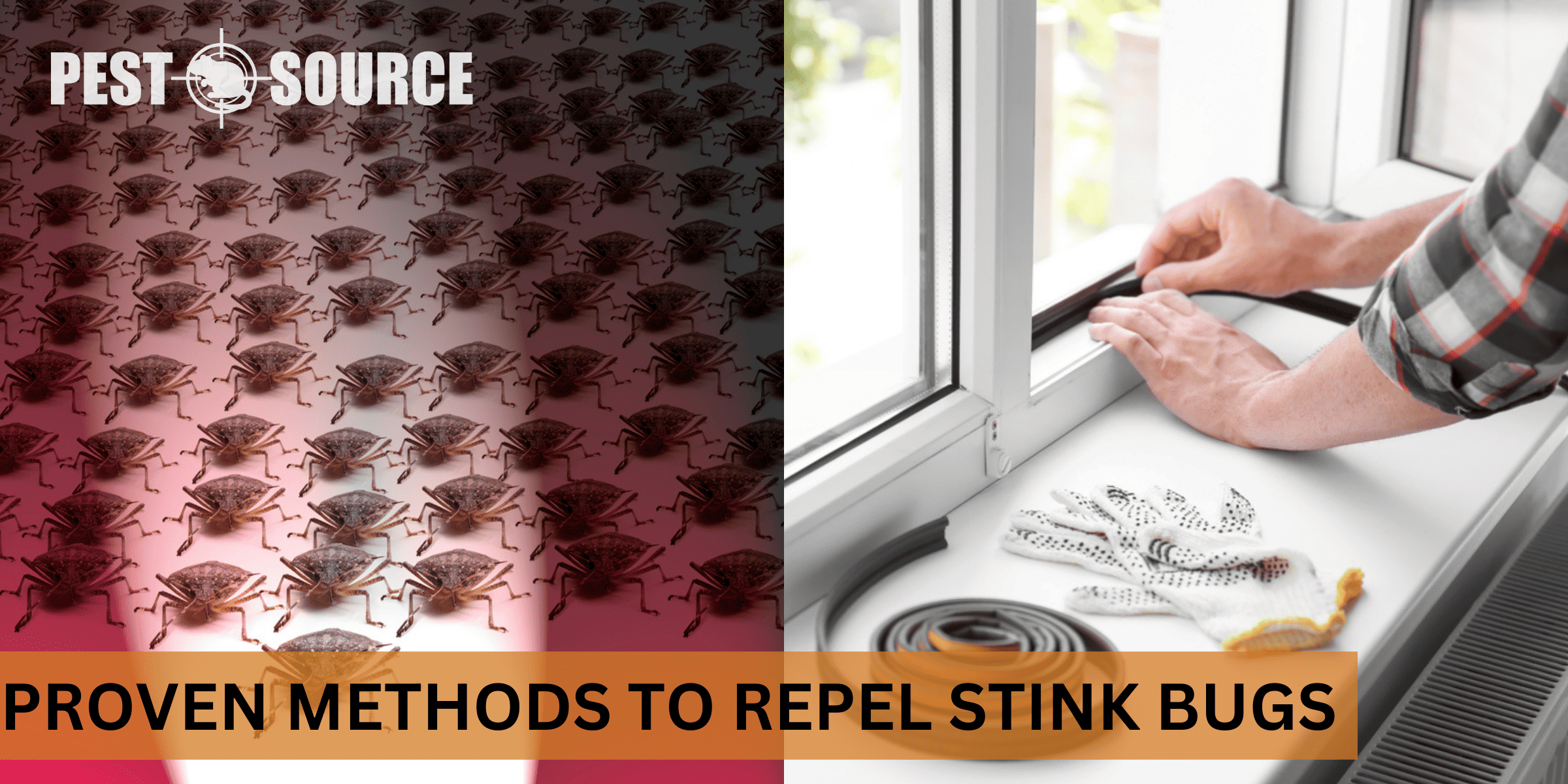 repelling stink bugs effectively