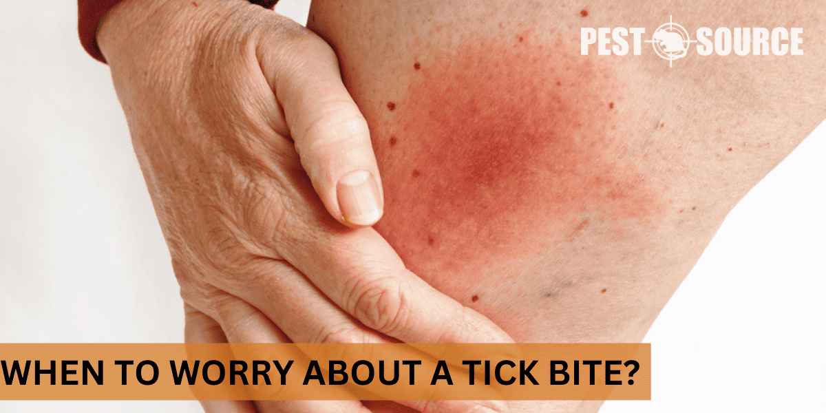 Symptoms triggered by tick