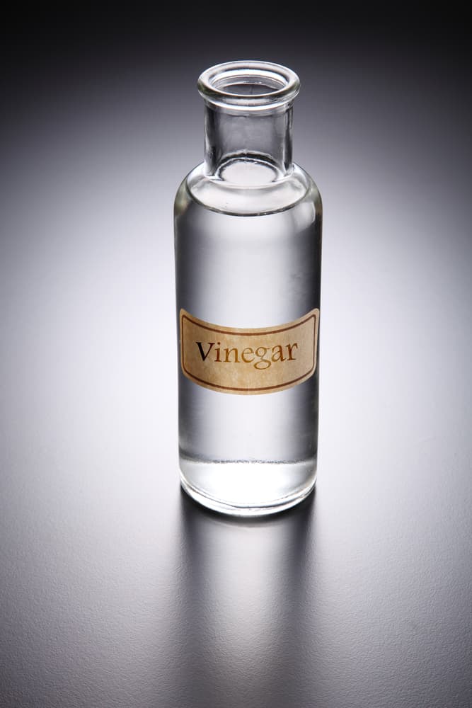 bottle of vinegar on the gray background
